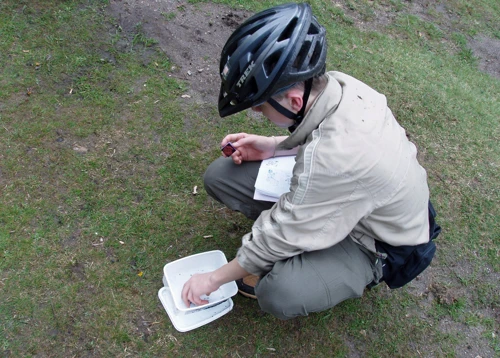 Report photo