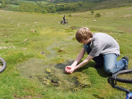 29 May 2005 · Ugborough Beacon