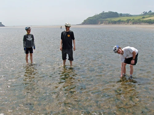 12 Jun 2005 · Mothecombe Beach