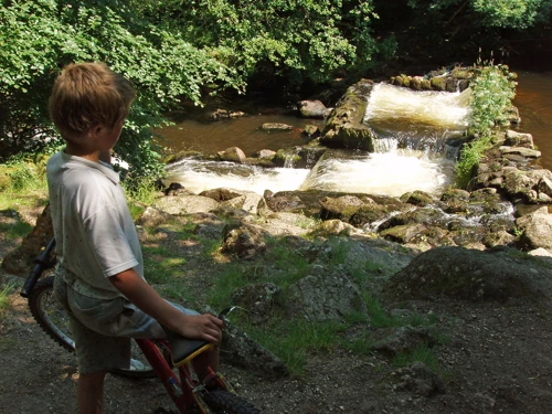 10 Jul 2005 · Fingle Bridge