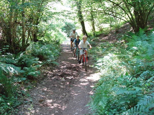 10 Jul 2005 · Fingle Bridge