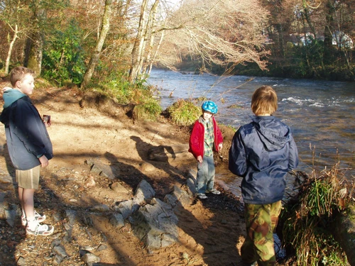 11 Dec 2005 · Hembury Woods