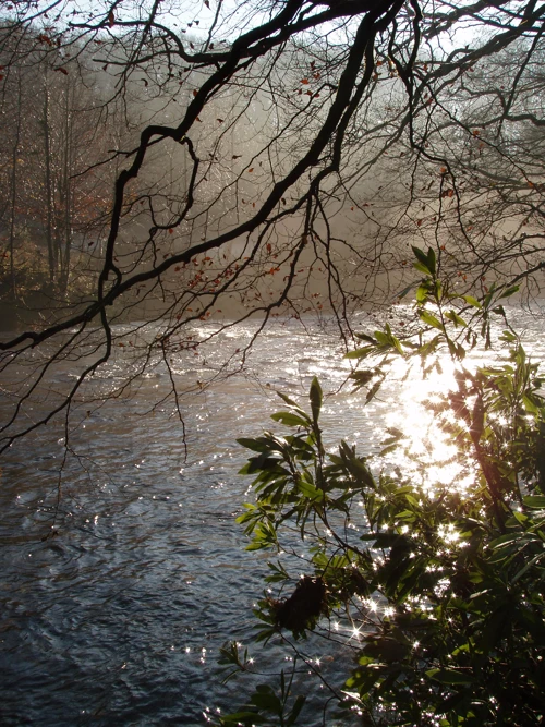 11 Dec 2005 · Hembury Woods
