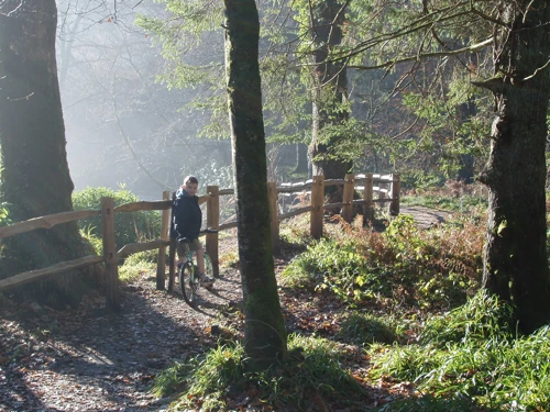 11 Dec 2005 · Hembury Woods