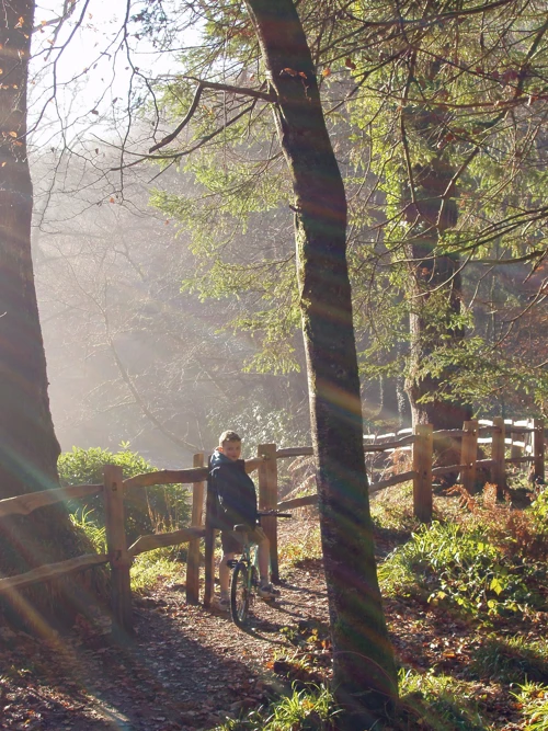11 Dec 2005 · Hembury Woods
