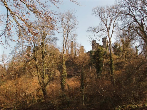 19 Mar 2006 · Berry Pomeroy Castle