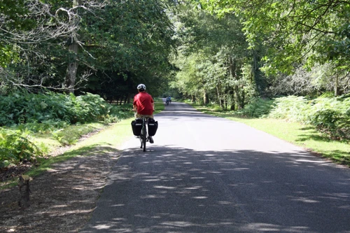 The road from Millyford Bridge to Bolderwood