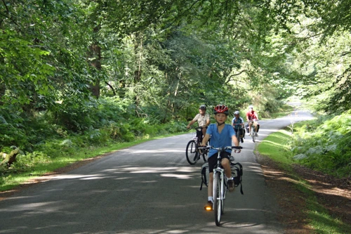 Rhinefield Road