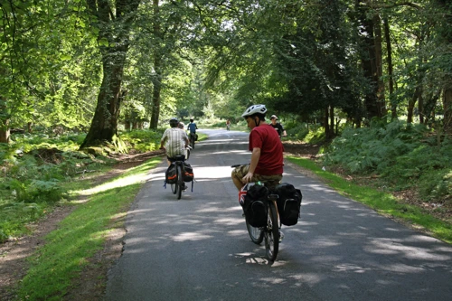 Rhinefield Road, 6.9 miles into the ride