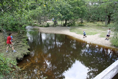 Ffrisbee fun over the Ober Water at Puttles Bridge near Brockenhurst, 7.4 miles into the ride