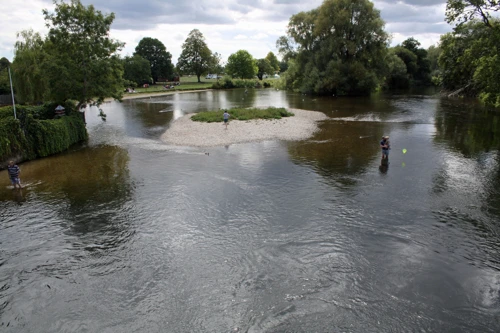 Fordingbridge Park, our chosen lunch spot, as seen from Bridge Street, Fordingbridge, 10.4 miles into the ride