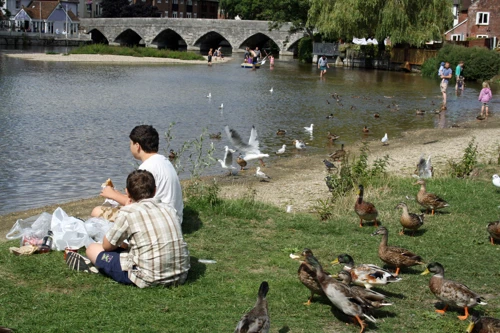Lunch in Fordingbridge park