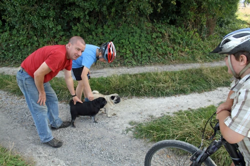 George meets a pair of pugs and their owner near Wells Bottom, New Court Down, on the track from Whitsbury to Odstock