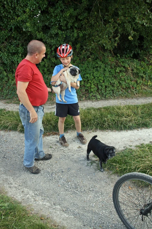 George meets a pair of pugs and their owner near Wells Bottom, New Court Down, on the track from Whitsbury to Odstock