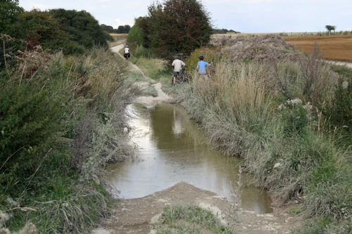 The flooded track across New Court Down towards Odstock