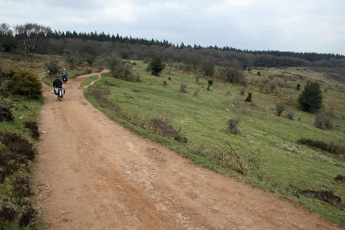 A wrong turn on unmarked tracks leaves us off-course at Middle Hill.