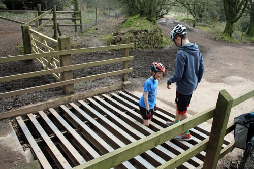 George gets caught in the cattle grid at Triscombe Park Gate.