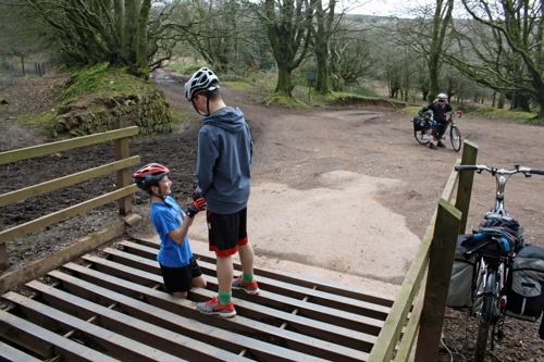 George gets caught in the cattle grid at Triscombe Park Gate.