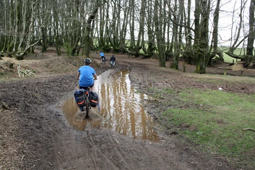 Watery challenges on the Quantocks ridge track near Great Hill.