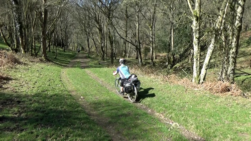 John speeds through the woods on the track to Selworthy.