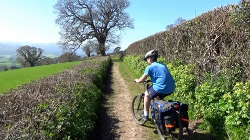 Dillan on the lovely bridleway from Selworthy to Allerford.