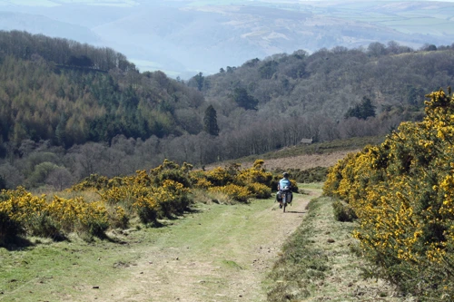 The bridleway to Selworthy through open moorland.