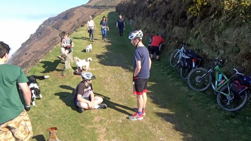 A fistful of dogs passes us on the coast path