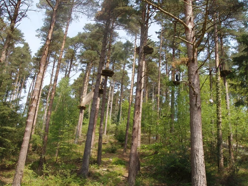 11 May 2008 · Haldon Forest Tracks