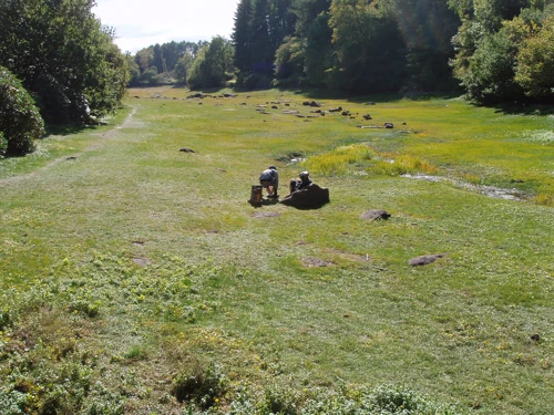Report photo