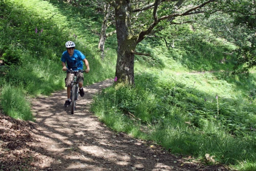 Lawrence on the Hunters' Path