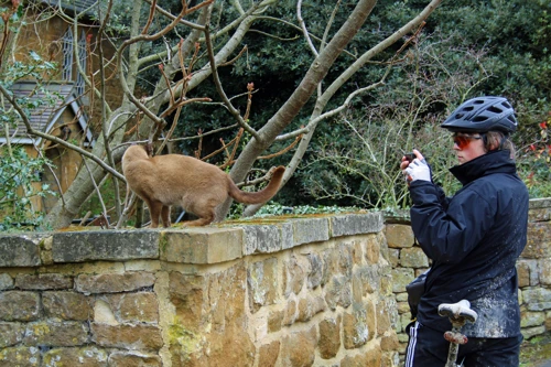 Ash photographs a very friendly cat on the approach to Ilmington