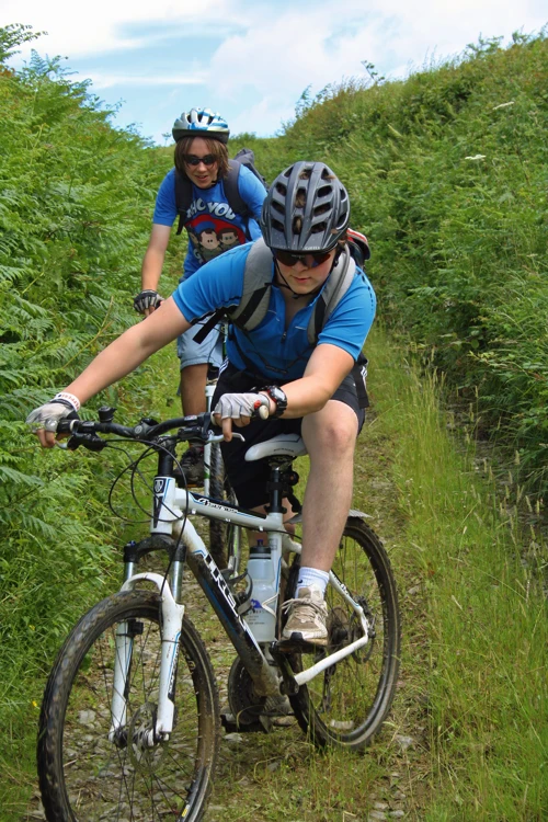 Exploring a side track on the way to Higher Penn, Landscove