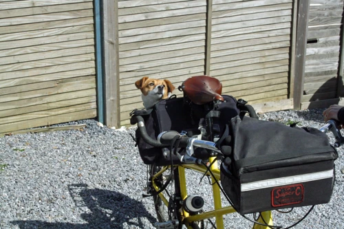 Carradice saddlebags have a multitude of uses.