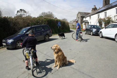 Leo with his collie friend at Scoriton.