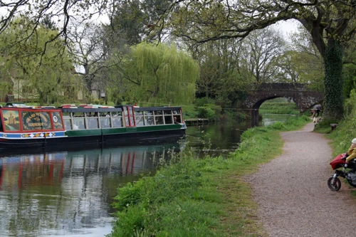 The Tivertonian tourist barge at East Manley Bridge, towed by a Shire horse.