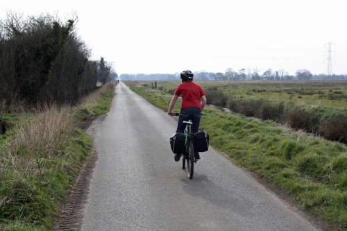 Lawrence on the Somerset Levels