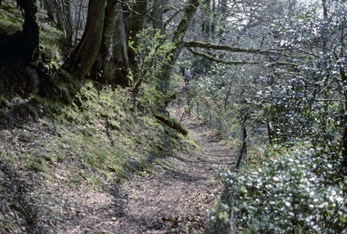 09 Apr 1989 · Holcombe Burnell