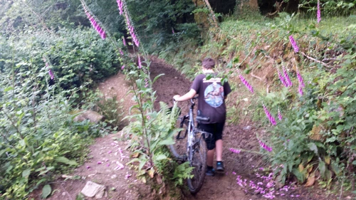 Dillan picks his way along the muddy Burchetts Wood track