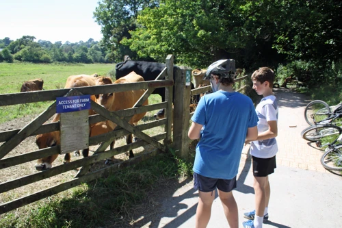 Dillan and George on the Totnes cycle path near Dartington