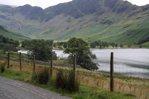 Buttermere Pines at the eastern end of the lake.