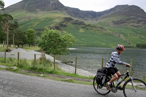 George with the Buttermere Pines.
