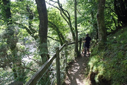 Dillan on the riverside track from Spitchwick to New Bridge.