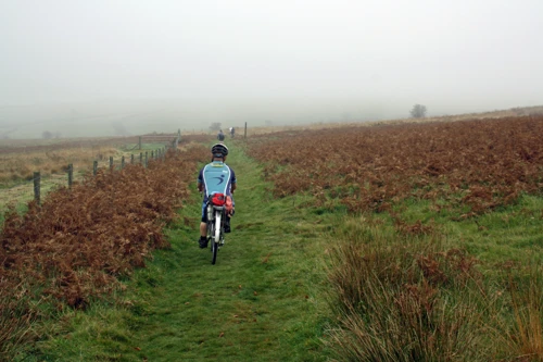 Abbots Way track near Water Oak Corner.