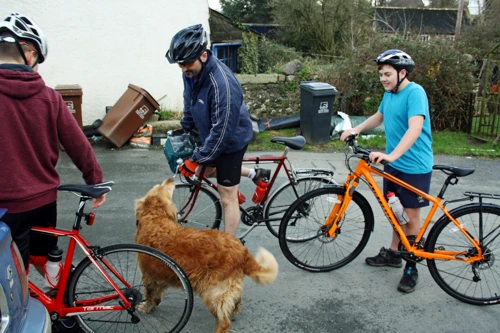 Tao cruelly resists Leo—lest anyone prove he actually likes dogs.