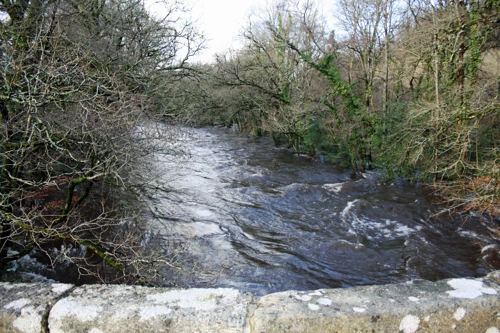 River Dart in full flood, looking upstream from Austin's Bridge, Buckfastleigh.