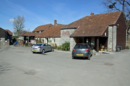Willows & Wetlands Centre, Stoke St Gregory.