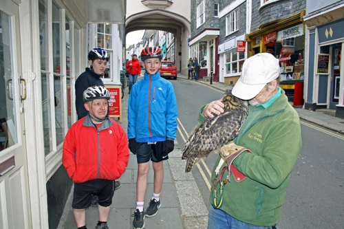 The owl draws a crowd on Totnes main street.