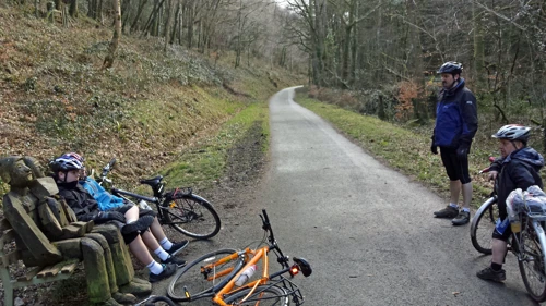 Bench sculptures on the return leg of the Tarka Trail beyond Great Torrington, 28.1 miles in.