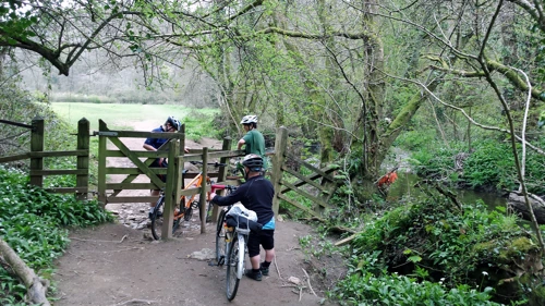 Broadridge Wood, beside the River Lemon.