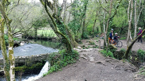 The weir and leat in Broadridge Wood.